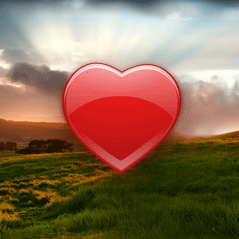 Uncovering the Essence of Love with Tibetan Numerology