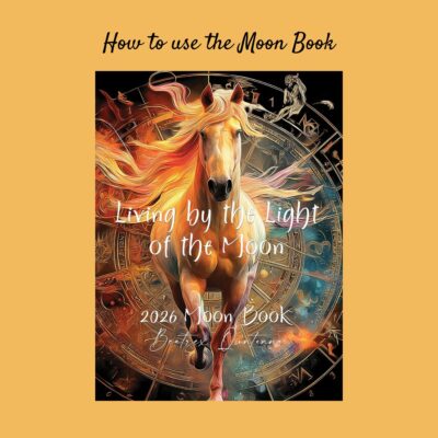 How to use the Moon Book 2026