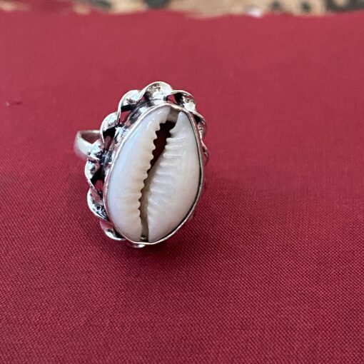 Cowry shell ring with silver